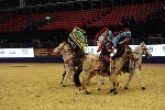 Quadrille - 00218